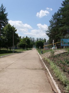 Центральна алея